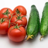 Da li je moguće saditi krastavce nakon paradajza